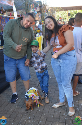 DSC_0253.jpg
