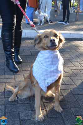 Filename=DSC_0370.jpg
Filesize=545KiB
Dimensions=636x960
Date added=Jul 07, 2025 DSC_0370.jpg