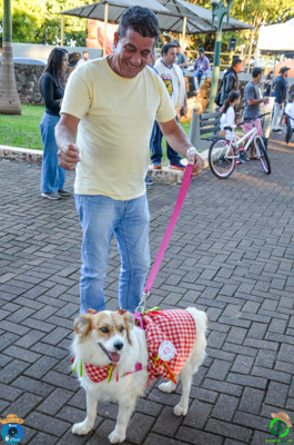 DSC_0503.jpg