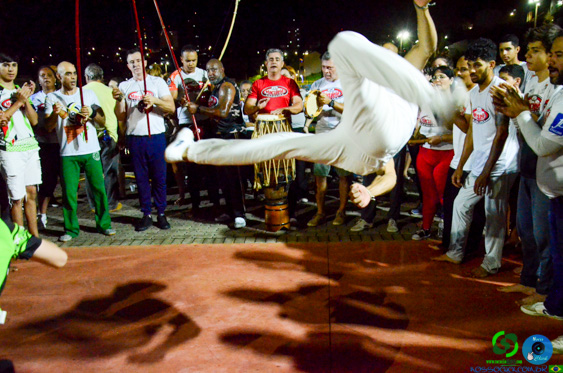 Filename=DSC_3817.jpg
Filesize=333KiB
Dimensions=960x636
Date added=Nov 24, 2025 DSC_3817.jpg