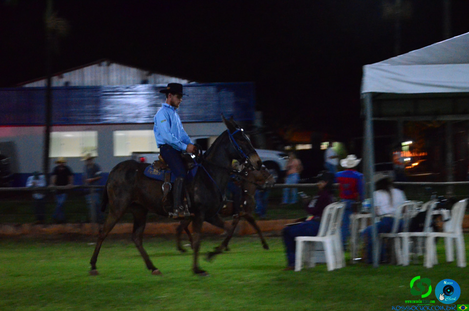 DSC_8872.jpg