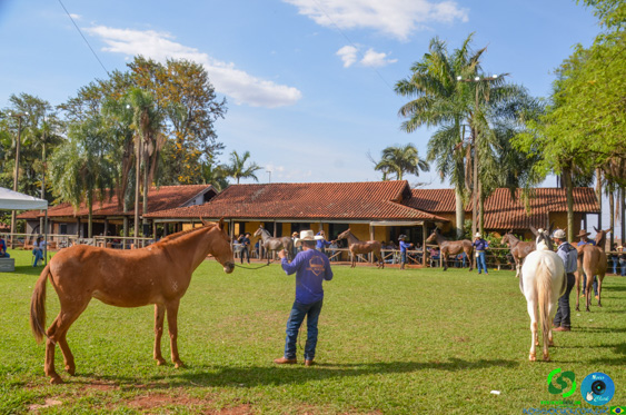 DSC_8281.jpg