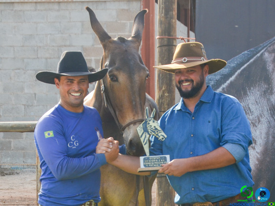 Filename=DSC_8406-2.jpg
Filesize=241KiB
Dimensions=960x720
Date added=Oct 26, 2025 DSC_8406-2.jpg