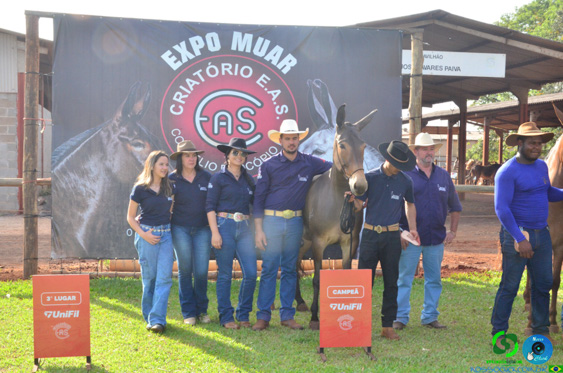 Filename=DSC_8408.jpg
Filesize=295KiB
Dimensions=960x636
Date added=Oct 26, 2025 DSC_8408.jpg