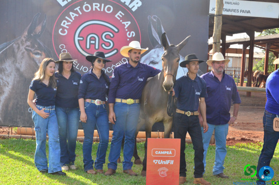 Filename=DSC_8410.jpg
Filesize=295KiB
Dimensions=960x636
Date added=Oct 26, 2025 DSC_8410.jpg