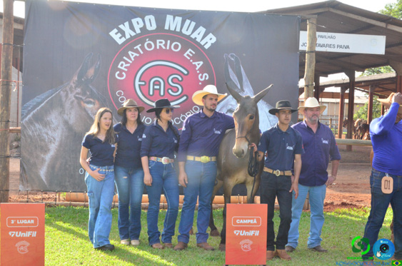 Filename=DSC_8411.jpg
Filesize=285KiB
Dimensions=960x636
Date added=Oct 26, 2025 DSC_8411.jpg