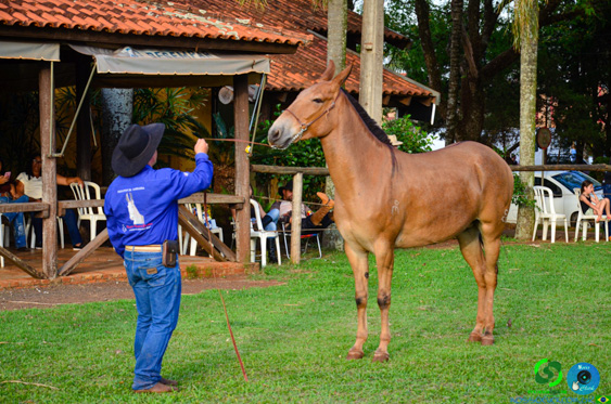 DSC_8641.jpg