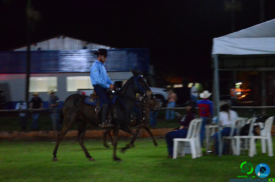 DSC_8872.jpg