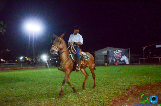 DSC_8875.jpg