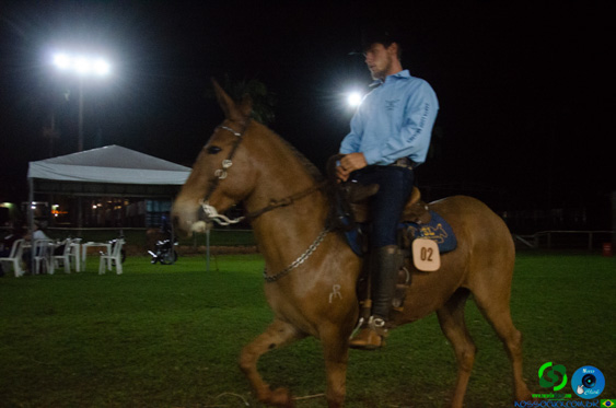 Filename=DSC_8971.jpg
Filesize=187KiB
Dimensions=960x636
Date added=Oct 26, 2025 DSC_8971.jpg