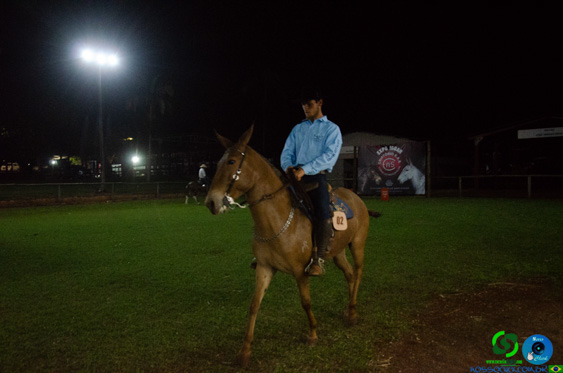 Filename=DSC_8974.jpg
Filesize=189KiB
Dimensions=960x636
Date added=Oct 26, 2025 DSC_8974.jpg