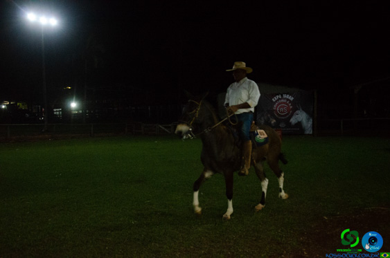 DSC_8975.jpg