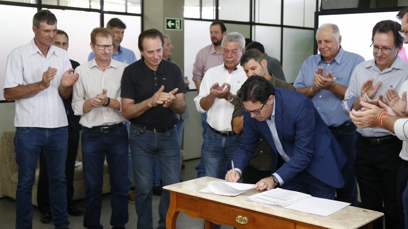 Cascavel far? a castra??o gratuita de 3,1 mil animais