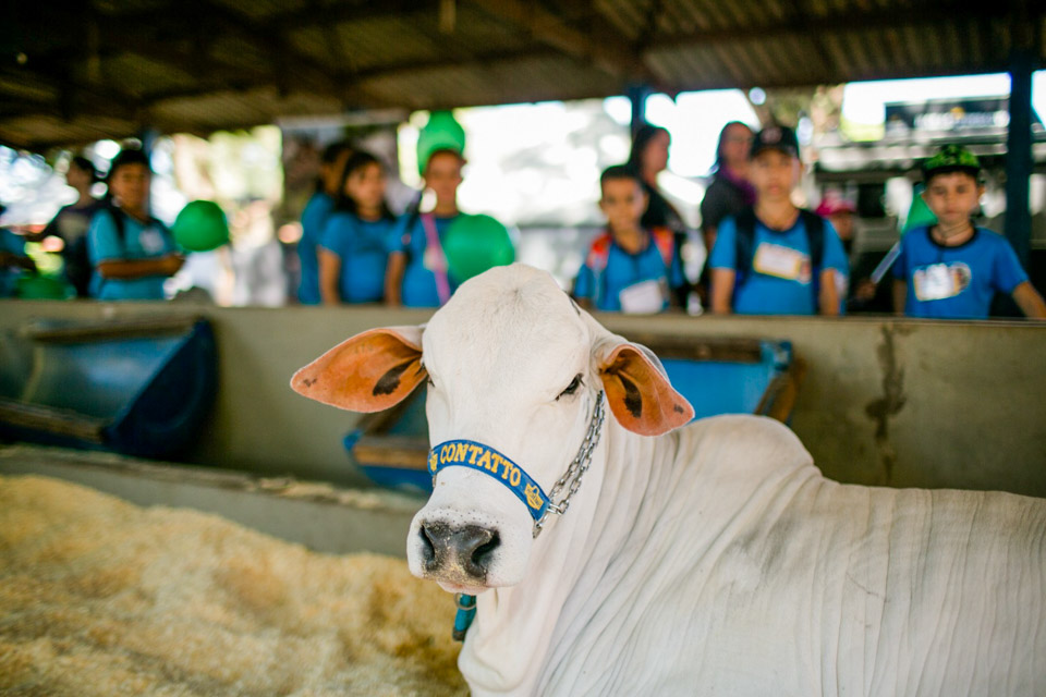 Animais-222.jpg